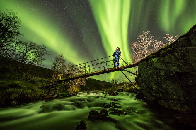 Chasing the Aurora: Tromsø Northern Lights Adventures